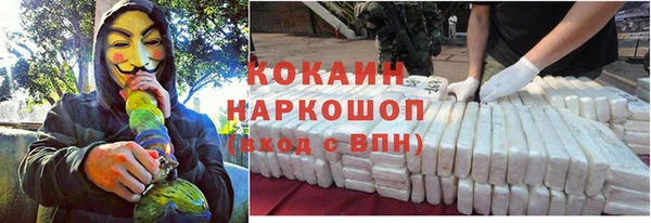 гидра Ладушкин
